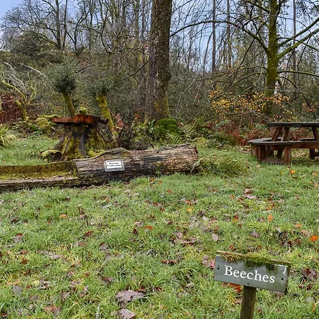 Beeches Сasa de vacaciones *