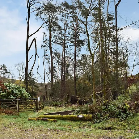 Сasa de vacaciones Beeches *