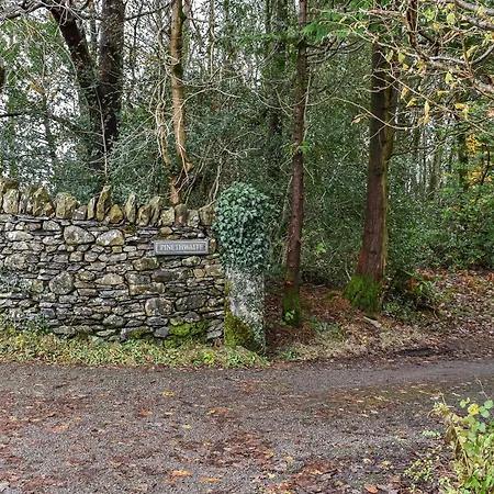 Beeches * 温德米尔